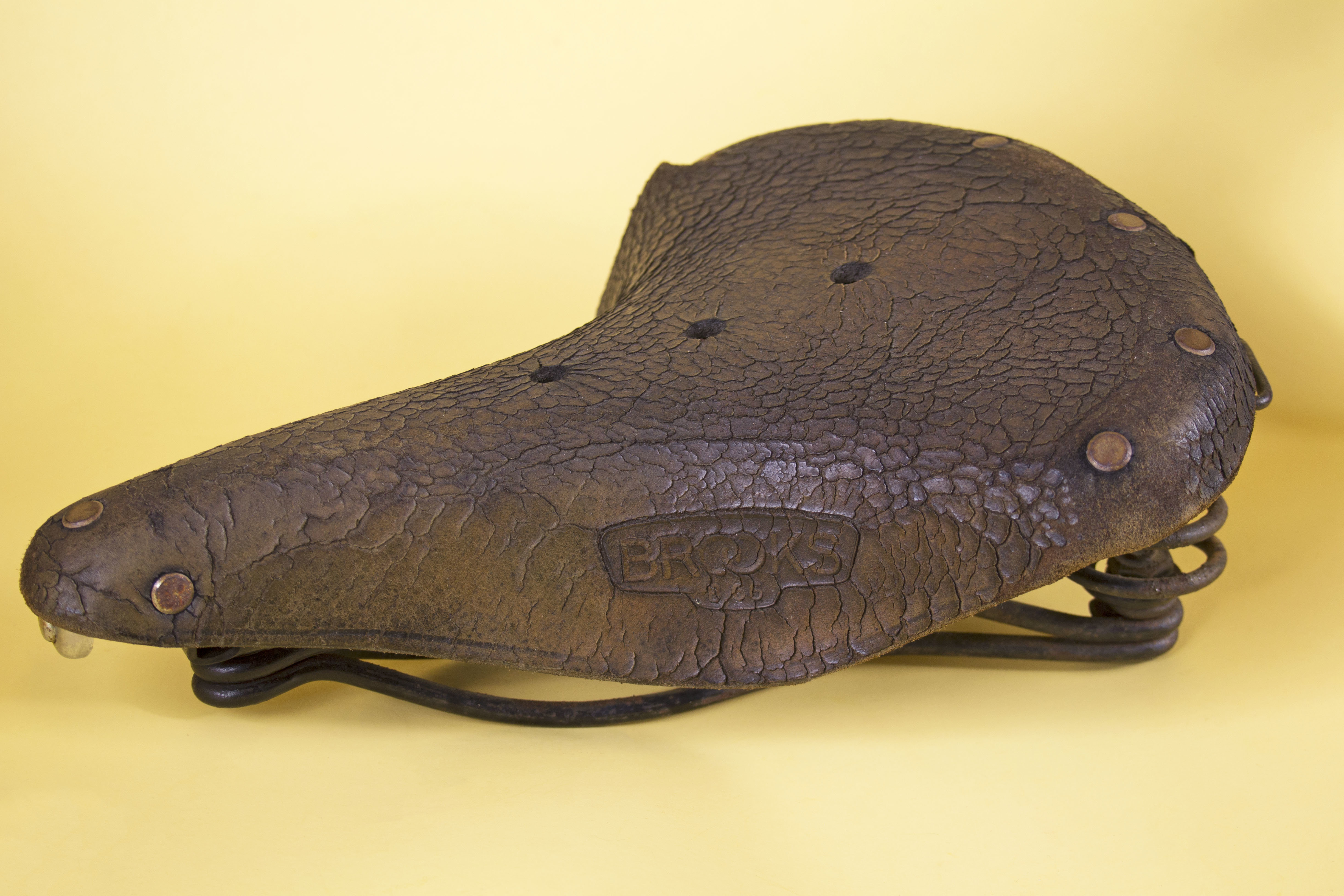 Neues Leder Fuer Den Hintern - PHP CMS